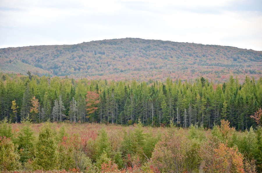 Prominence on the south side of the Mull River Valley