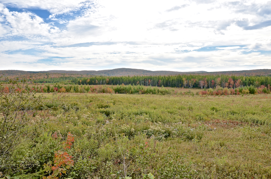Looking towards Upper Glencoe and the Bornish Hills from the Whycocomagh Port Hood Road
