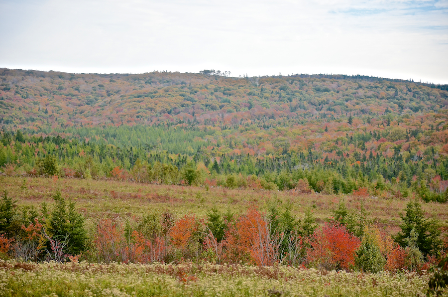 The Churchview Road Summit from “The Plains”