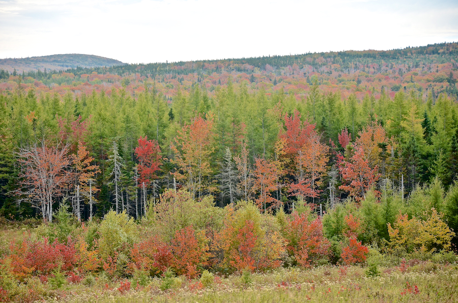 Ridge across the Mull River Valley