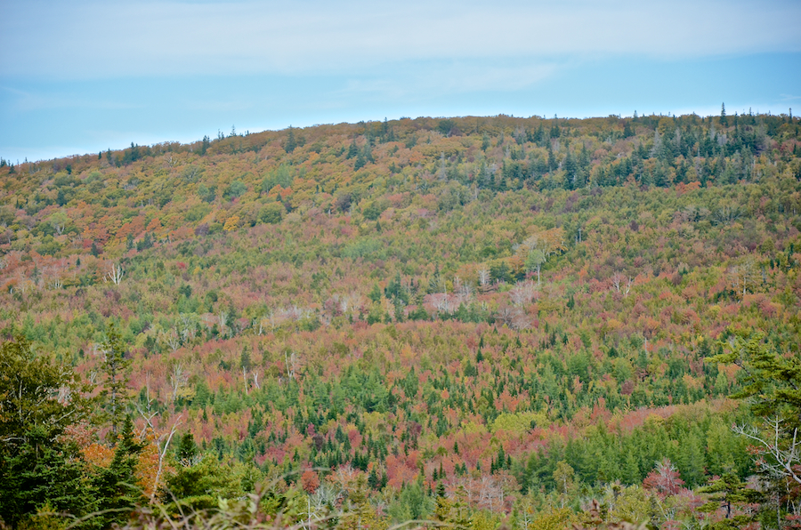 Close-up of the highest part of the “Rosedale Ridge”