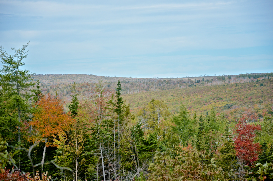 Close-up of the northern part of the “Rosedale Ridge”