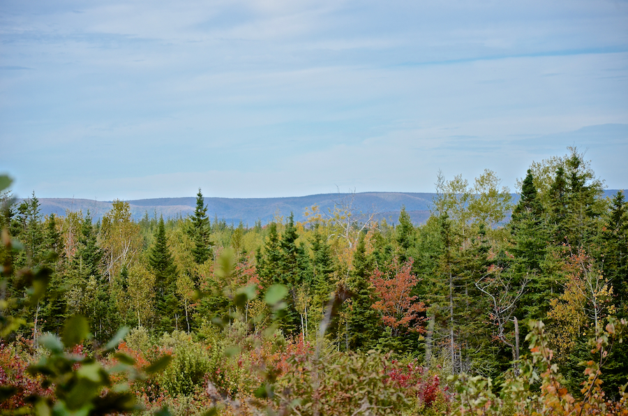 Cape Mabou from the Whycocomagh Port Hood Road in Glencoe Mills