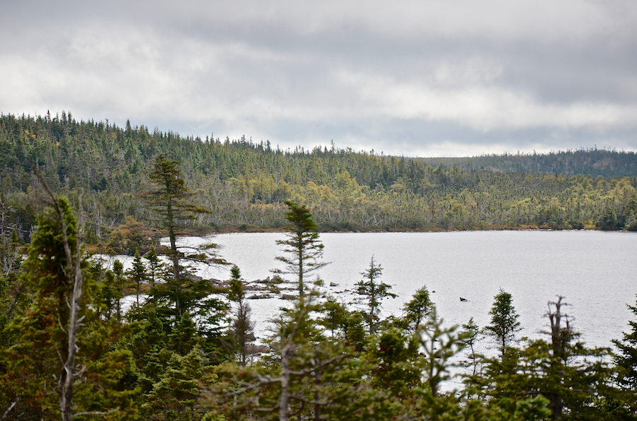The southeastern end of French Lake