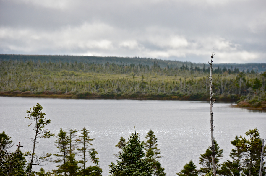 The southwestern end of French Lake