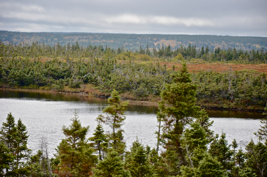 Looking across the northwestern arm of French Lake