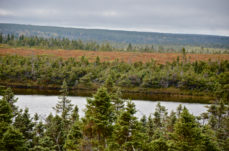 Looking across the northwestern end of French Lake