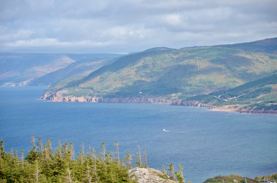 The coast from Polletts Cove to south of Moores Cove