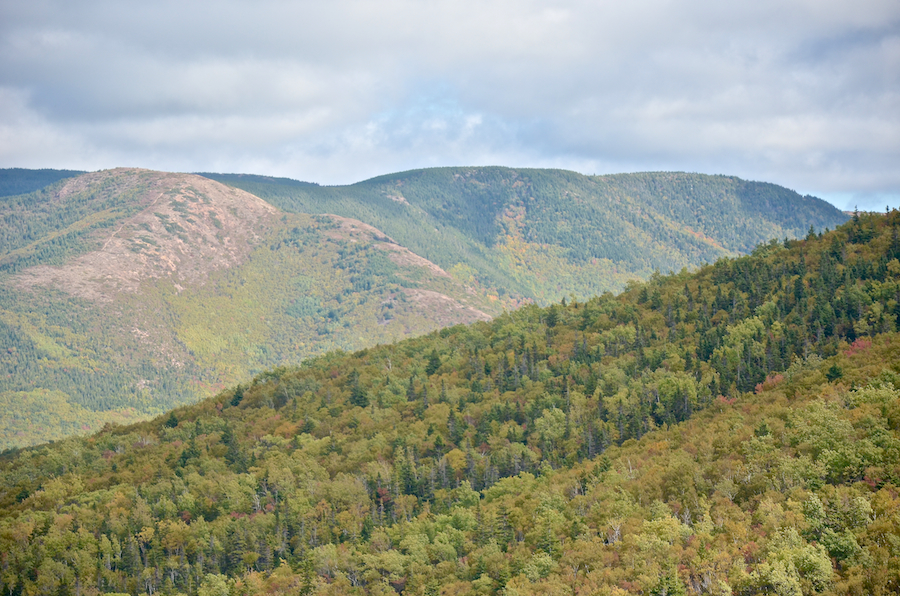 The Highlands above the Grande-Anse River Valley