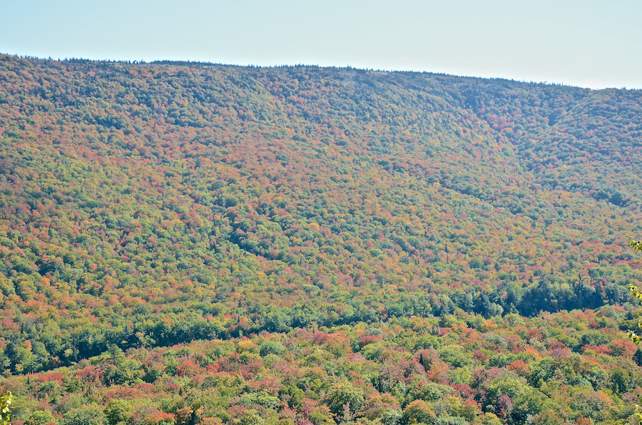 The North Aspy River Valley below the second highest look-off on North Mountain