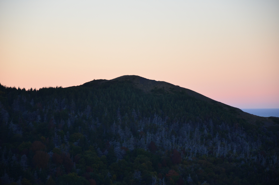 Little Grassy summit in the setting sun