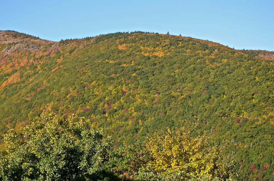 Part 2 of the panorama
