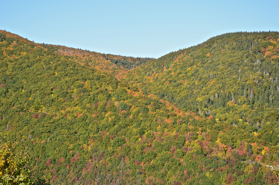 Part 3 of the panorama