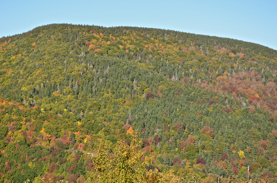 Part 4 of the panorama