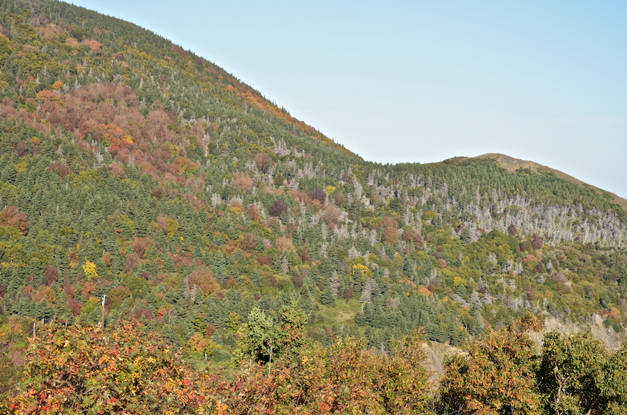 Part 5 of the panorama