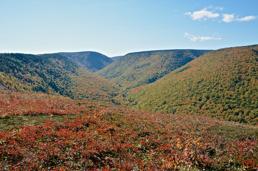 The Meat Cove Brook Valley from the col on Meat Cove Mountain