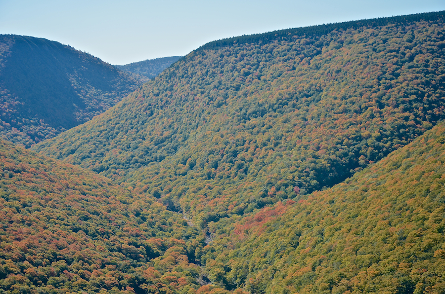 Meat Cove Brook and Pine Brook join forces in the Meat Cove Valley