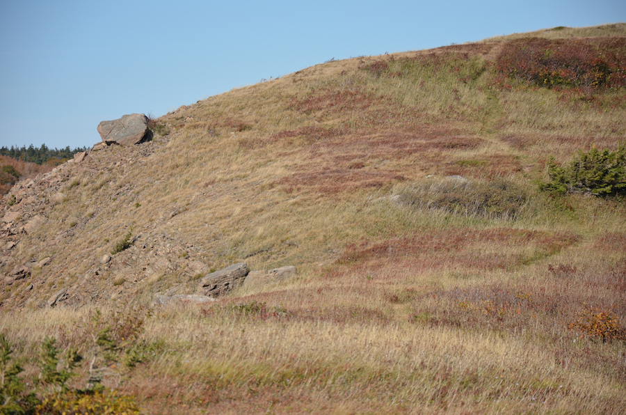 The south edge of the north summit of Meat Cove Mountain from below