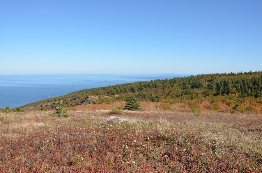 The unnamed brook valley seen from the north summit of Meat Cove Mountain