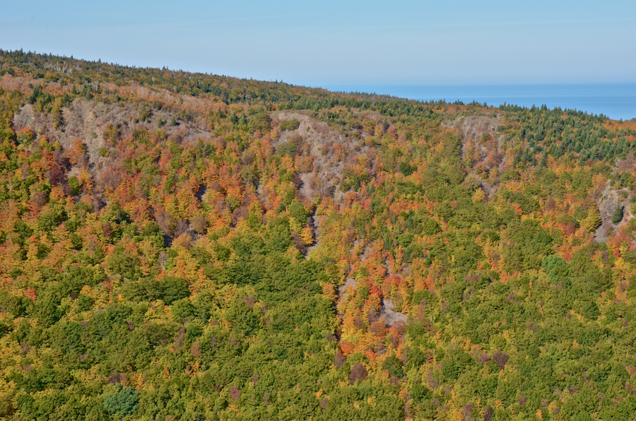 A more detailed view of the area at the Meat Cove Look-Off