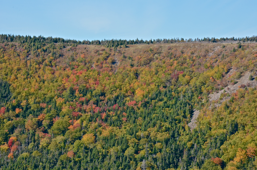 A close-up of another portion of the western Highlands above Meat Cove Brook