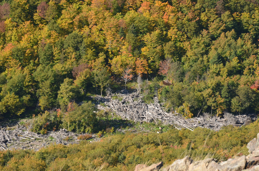 Looking down at the edge of Meat Cove Brook from the north summit of Meat Cove Mountain