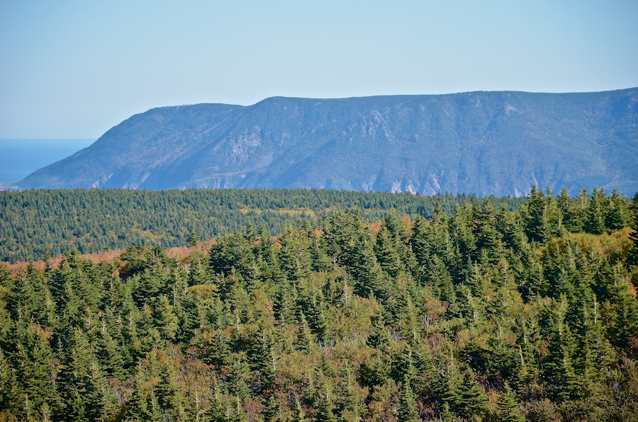 The northern end of the Cape North Massif from the north summit of Meat Cove Mountain