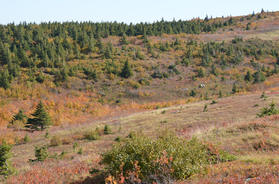 The unnamed brook valley near the col