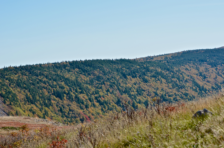 The east side of the Meat Cove Brook valley