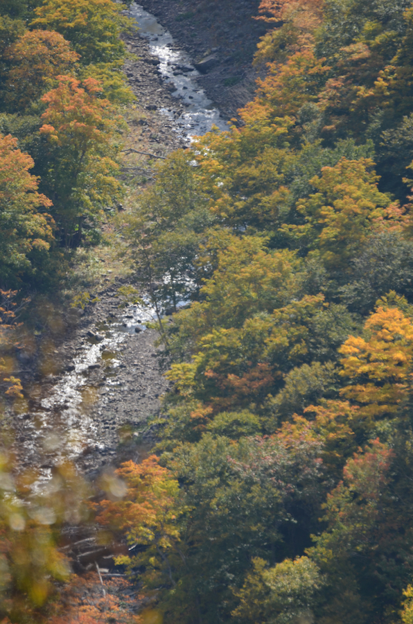 Meat Cove Brook from the col on Meat Cove Mountain