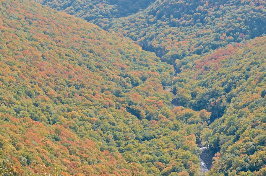 Meat Cove Brook and Pine Brook join forces in the Meat Cove Valley