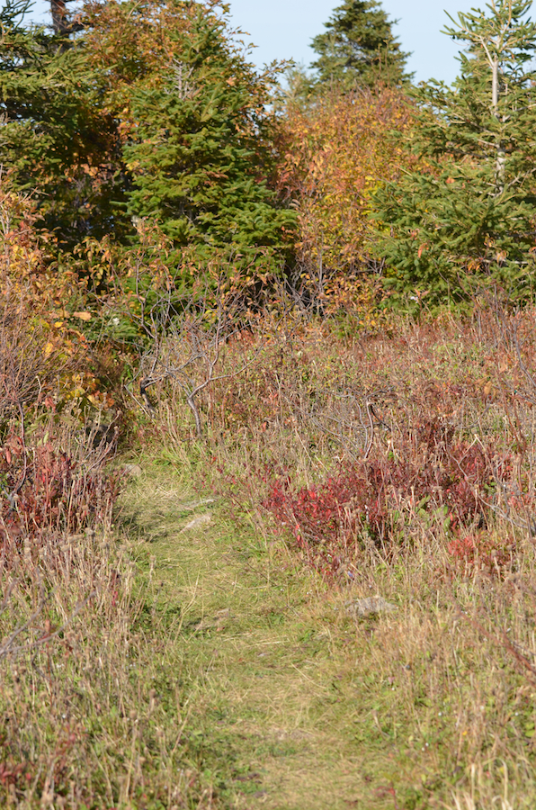 The trail descends from the col