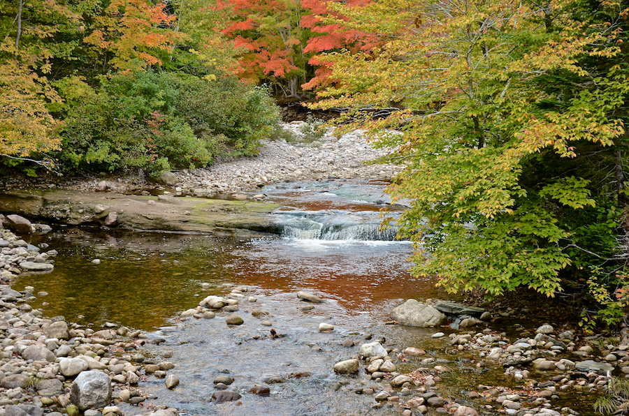 A small waterfall on the Middle Aspy River