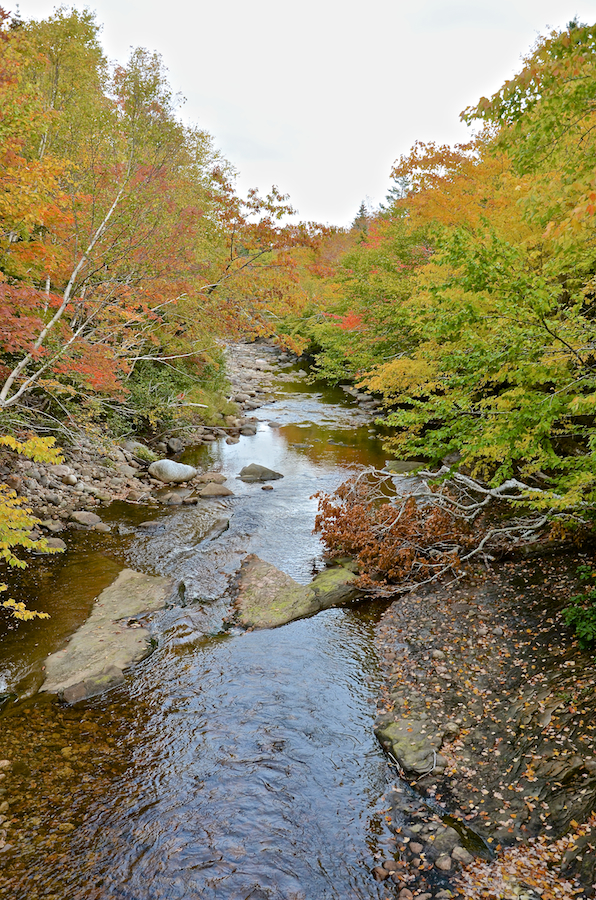Looking downstream from the bridge over the Middle Aspy River on the South Ridge (Branch) Road