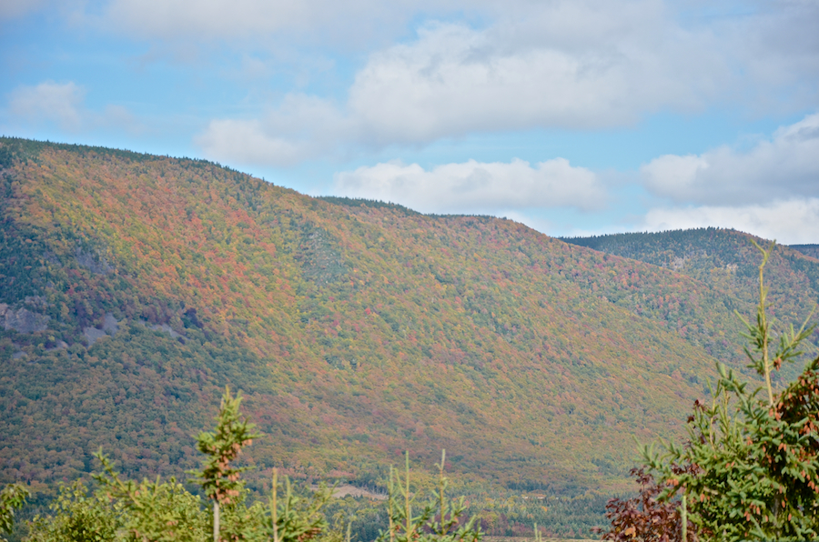 Theodore Fricker Mountain from the Sunrise Look-Off