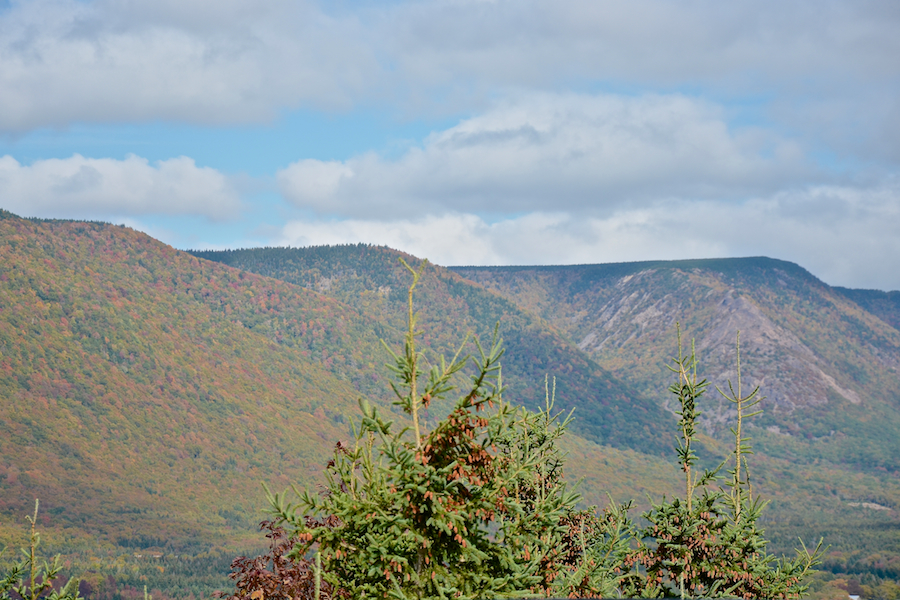 Theodore Fricker Mountain and The Peak from the Sunrise Look-Off