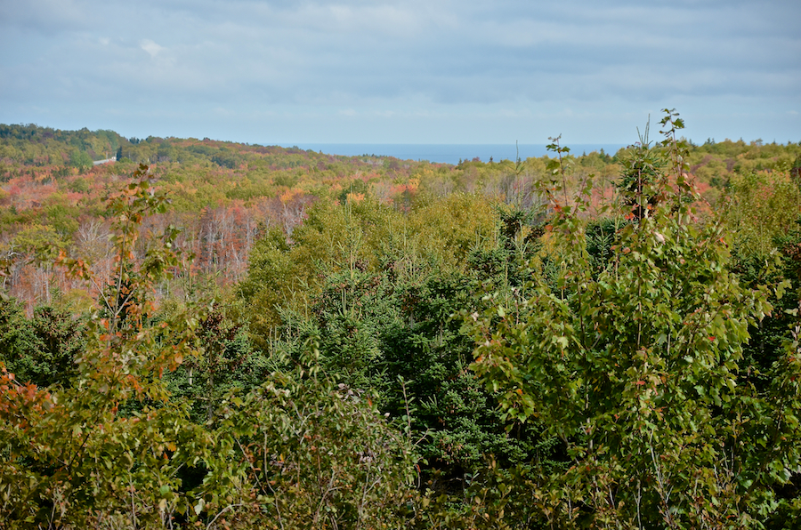 The terrain south of Cape North Village