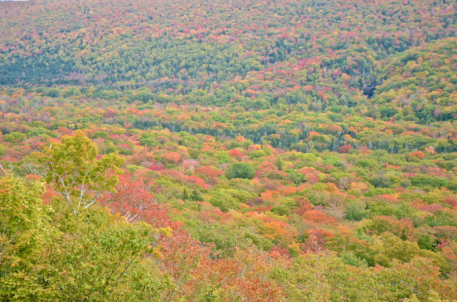 The North Aspy River Valley from the third look-off ascending North Mountain