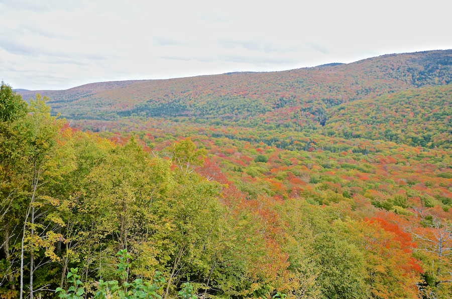 South Mountain and the North Aspy River Valley from the third look-off ascending North Mountain