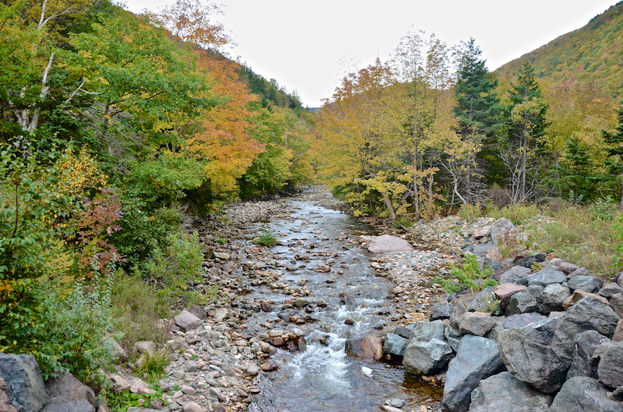 Looking upstream from the bridge over the Red River
