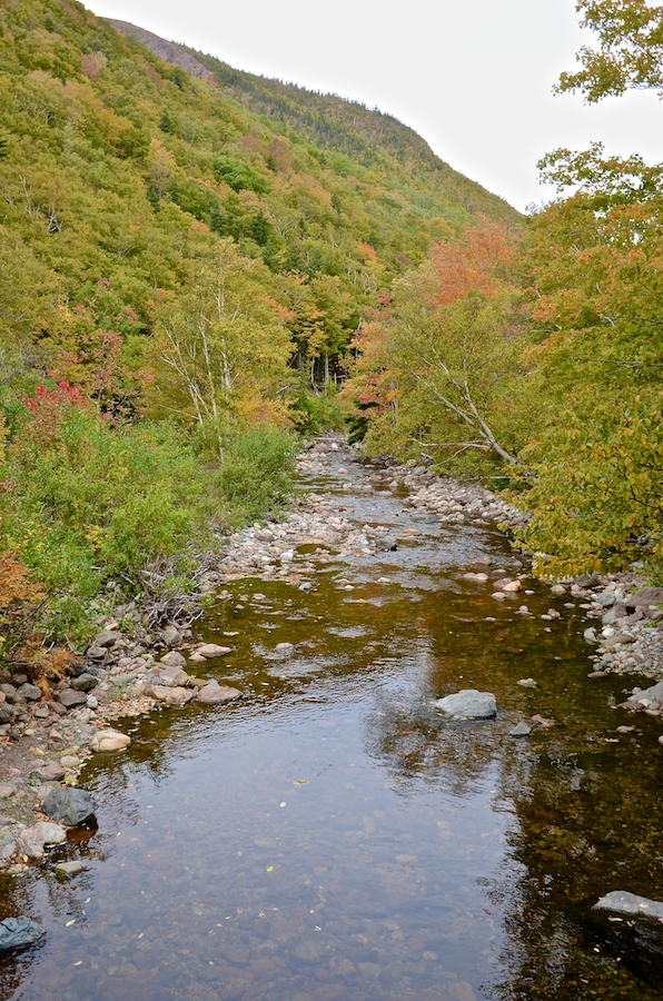 Looking downstream from the bridge over the Red River