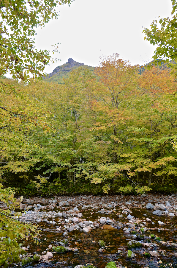 Looking across the Red River at Icy Mountain