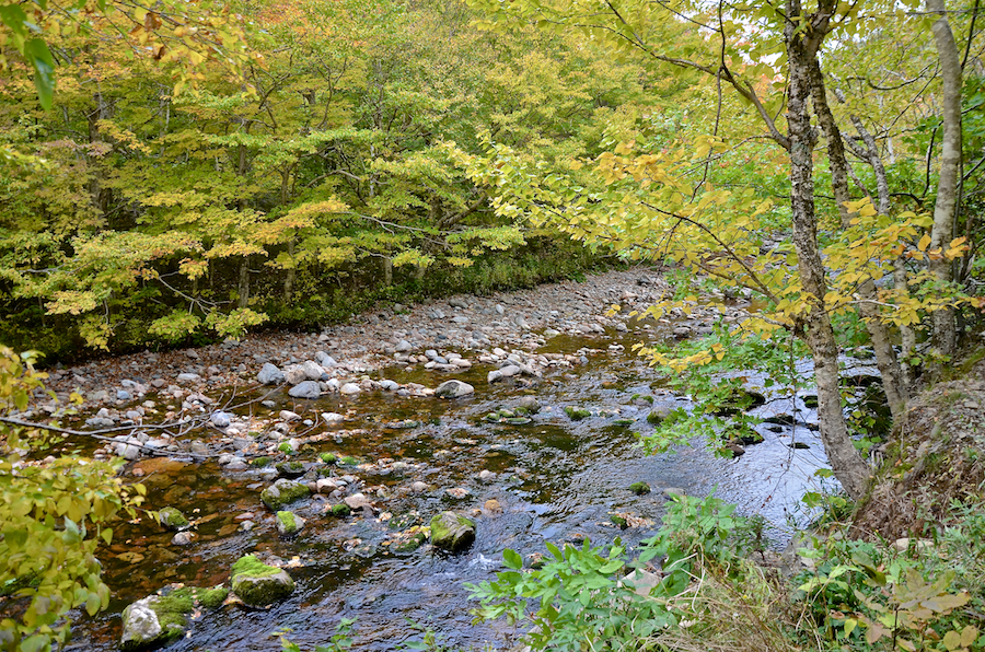 The Red River