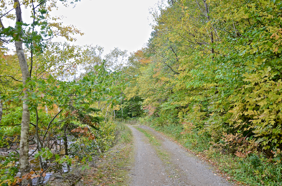 The Hinkley Glen Road above the Red River