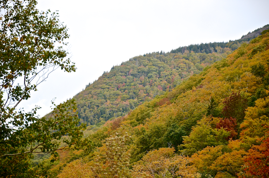 The upper slopes of Andrews Mountain at the end of the Hinkley Glen Road