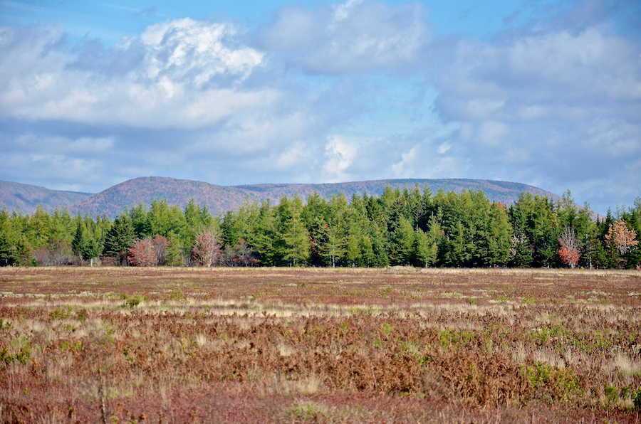 Sugarloaf Mountain from the Margaree Airport