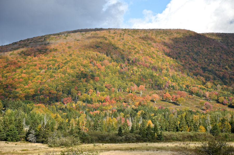 The Highlands above Marsh Brook