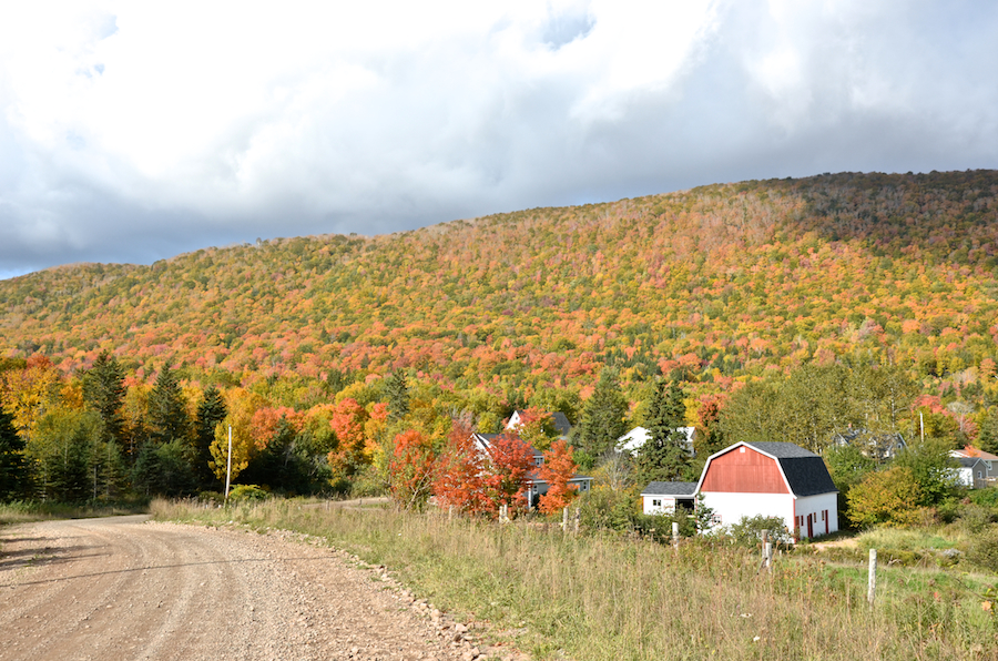 Looking northwest at the Margaree Highlands from Marsh Brook Road