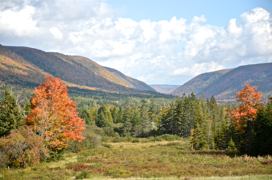 The Highlands along the Aspy Fault and Sugarloaf Mountain from Marsh Brook