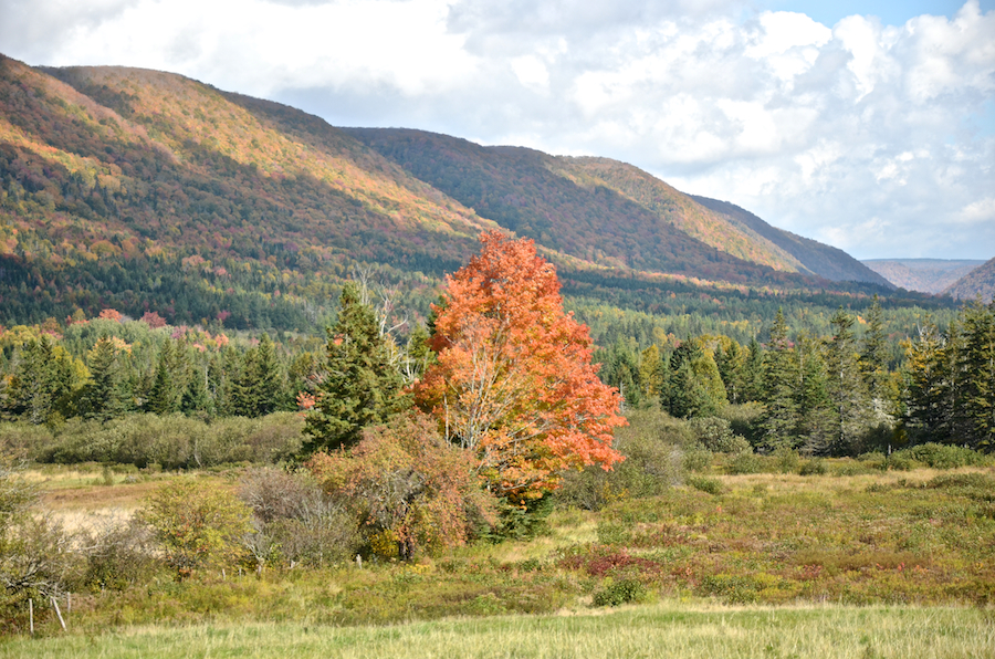 The Highlands along the Aspy Fault from Marsh Brook